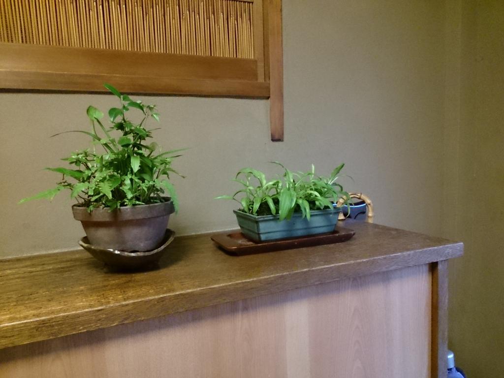 Ryokan Nakajimaya Kyoto Eksteriør billede
